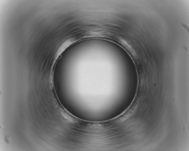 X0000096211370200801251025