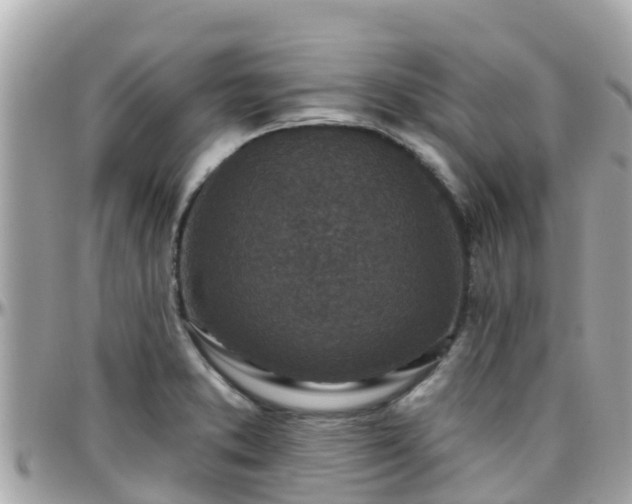 X0000096211373200801251025