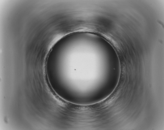 X0000096211375200801251025