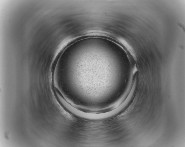 X0000096211376200801251025