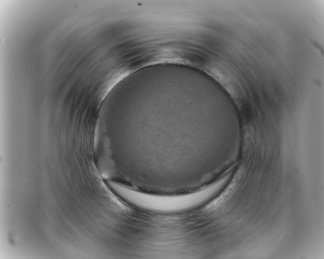 X0000096211377200801251025