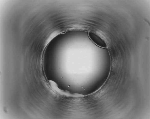 X0000096211378200801251024