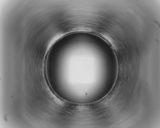 X0000096211379200801251024