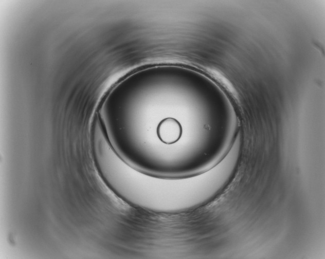 X0000096211380200801251024