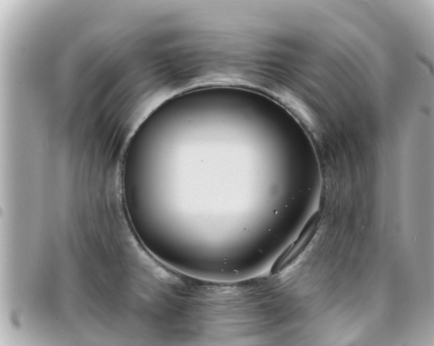 X0000096211382200801251024