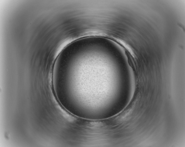 X0000096211383200801251024