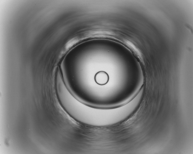 X0000096211384200801251024