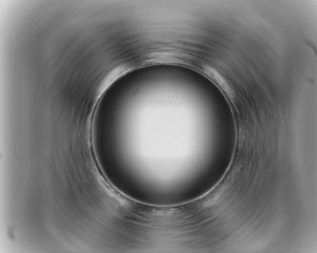 X0000096211386200801251024