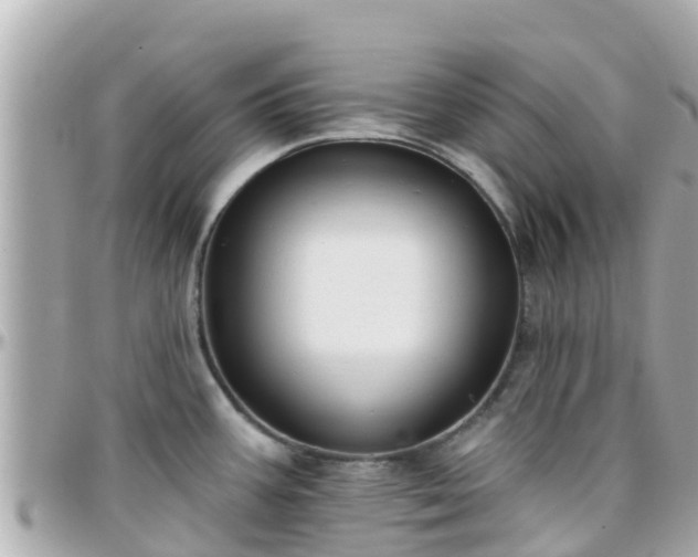 X0000096211387200801251024