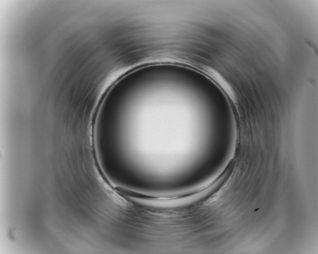 X0000096211388200801251024