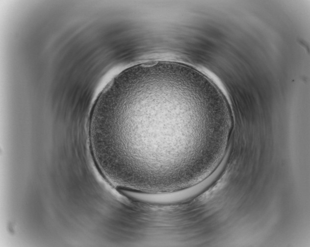 X0000096211389200801251024