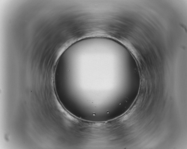 X0000096211390200801251024