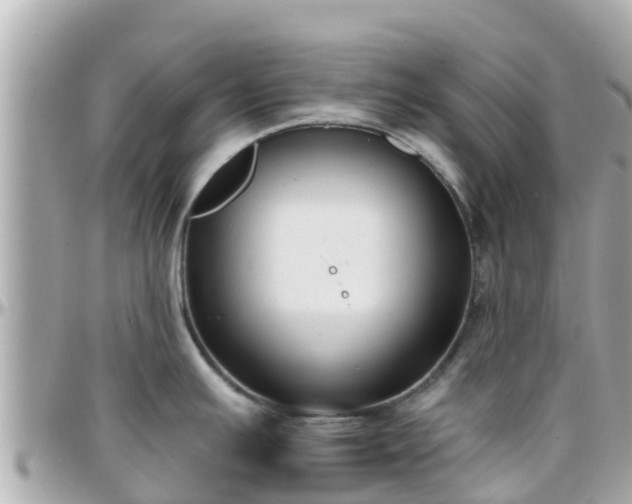 X0000096211391200801251024