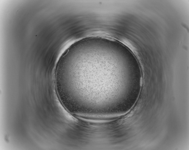 X0000096211392200801251024