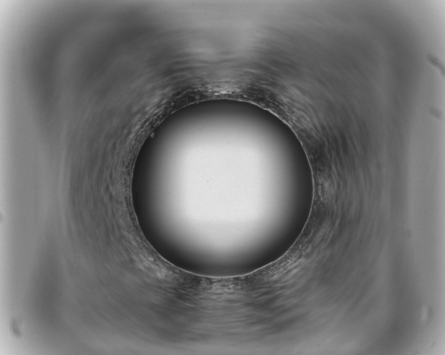 X0000096211393200801251024