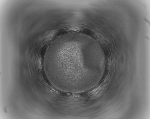 X0000096211394200801251024