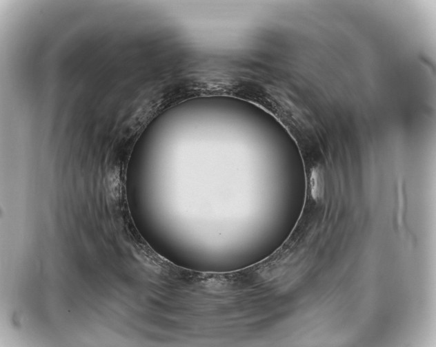 X0000096211395200801251024