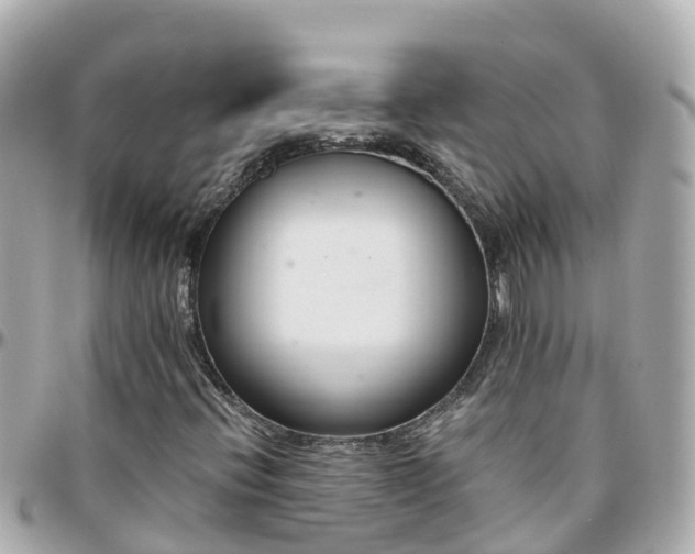 X0000096211396200801251024