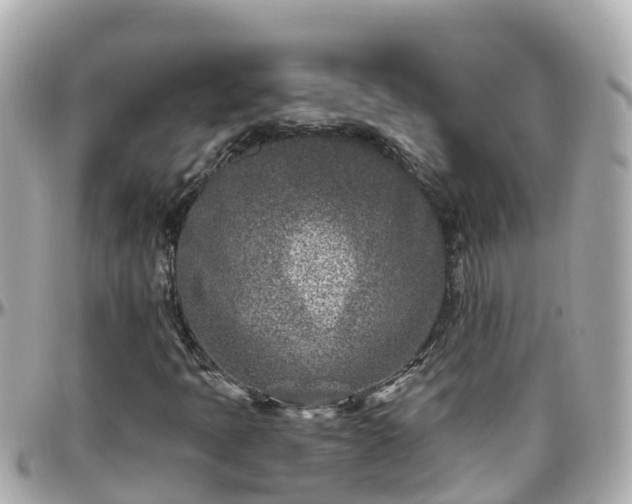 X0000096211397200801251024