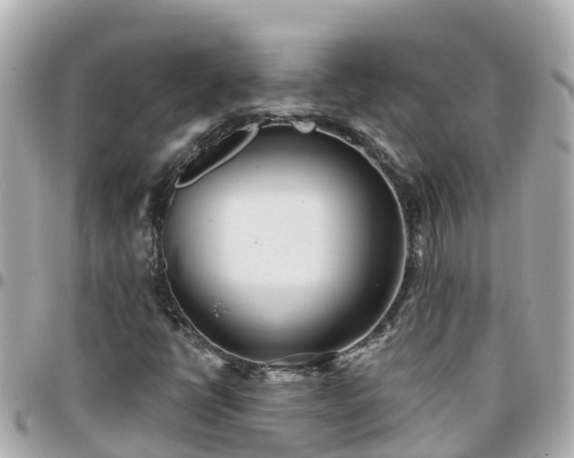 X0000096211398200801251024