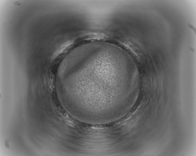 X0000096211399200801251024