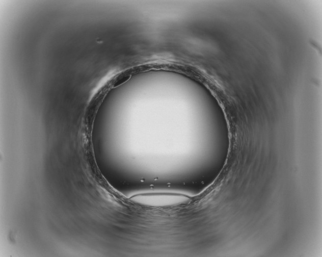 X0000096211400200801251024