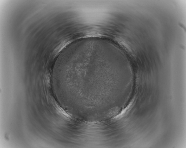 X0000096211401200801251024