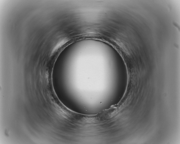 X0000096211402200801251024