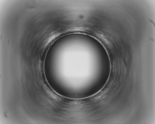 X0000096211404200801251024