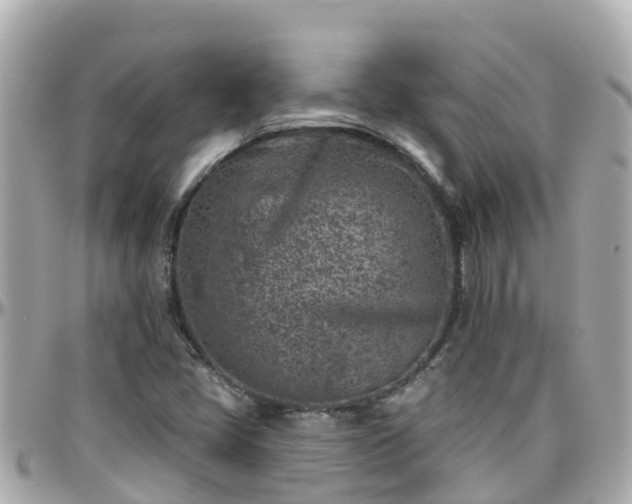 X0000096211405200801251024