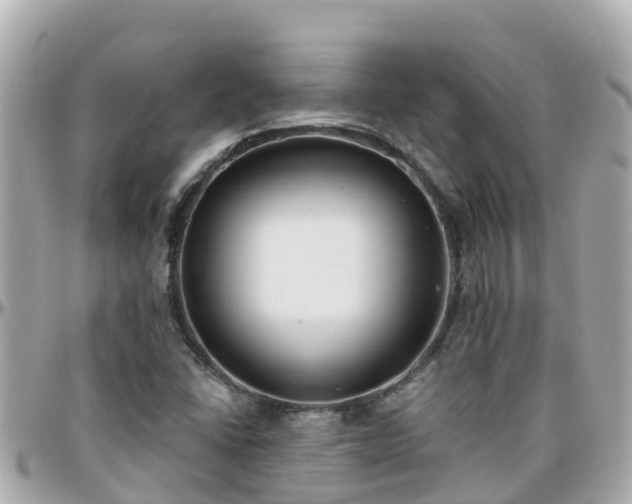 X0000096211406200801251024