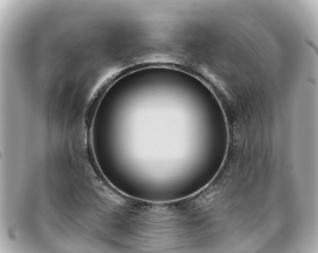 X0000096211408200801251024