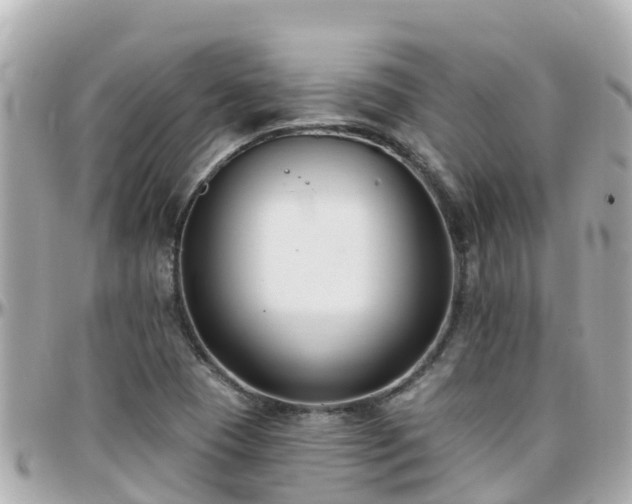 X0000096211409200801251024