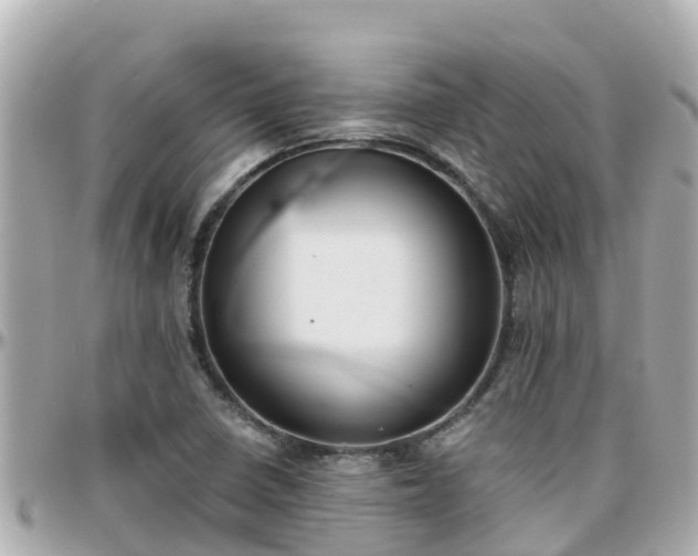 X0000096211410200801251024