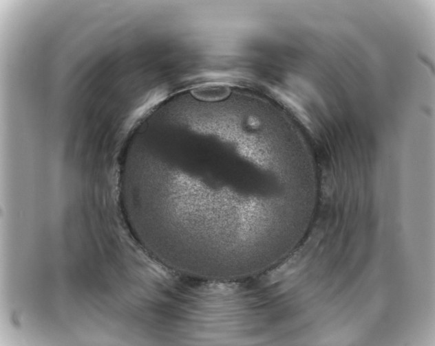 X0000096211411200801251024