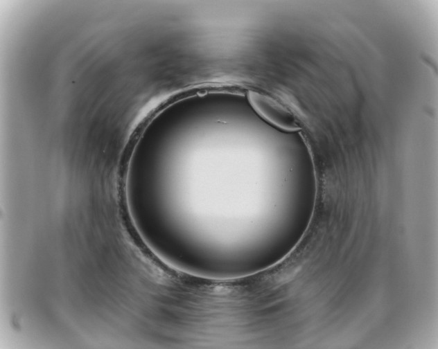 X0000096211412200801251024