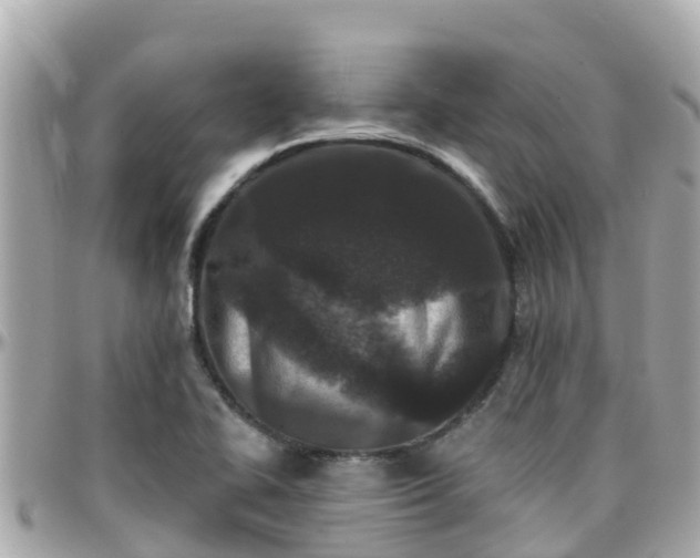 X0000096211414200801251024