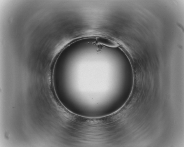 X0000096211415200801251024