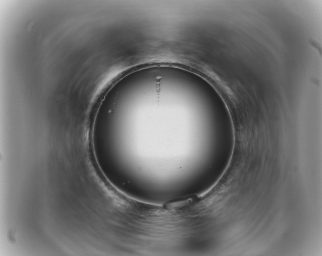 X0000096211416200801251024