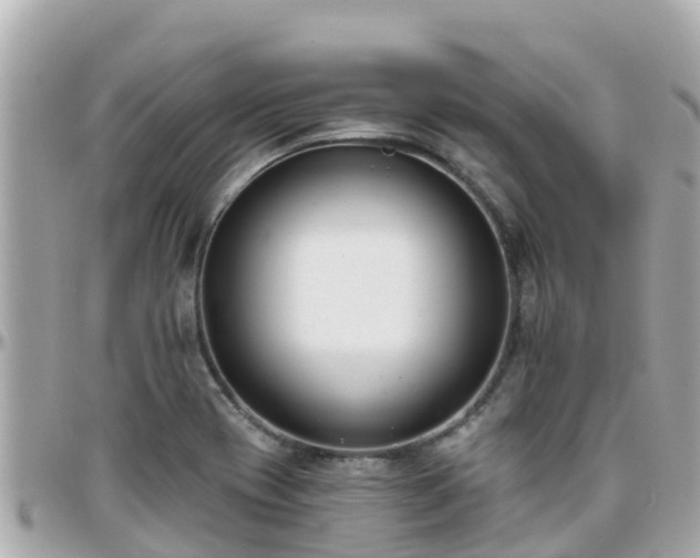 X0000096211417200801251024