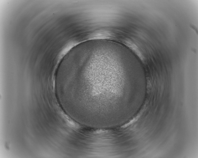 X0000096211419200801251024