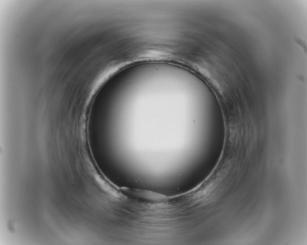 X0000096211421200801251024