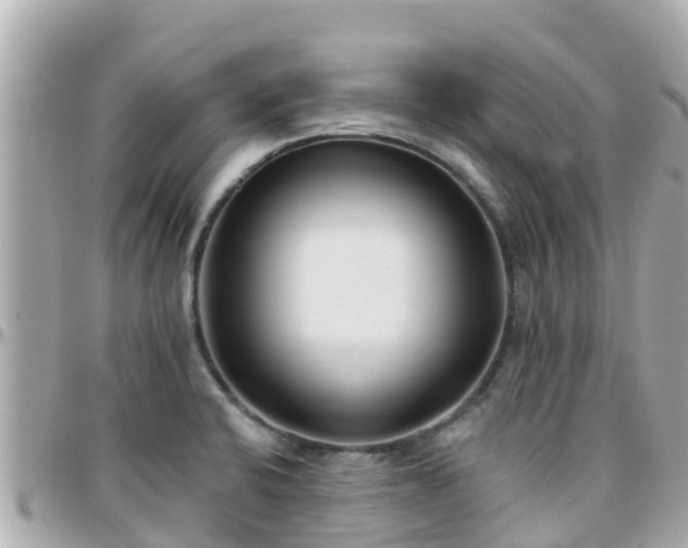 X0000096211424200801251024