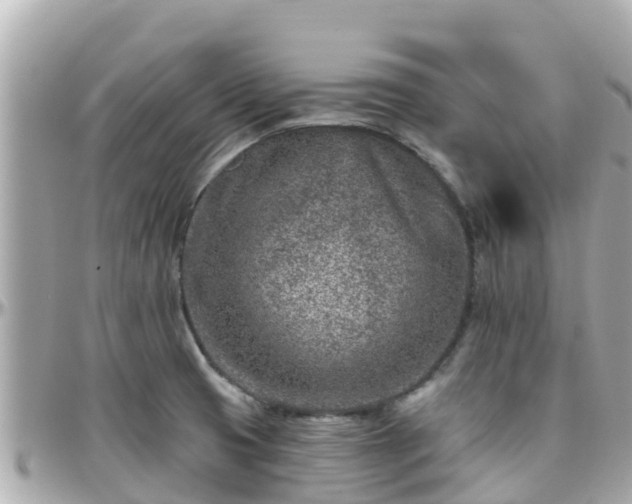 X0000096211425200801251024