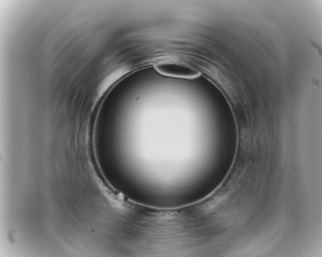 X0000096211426200801251024