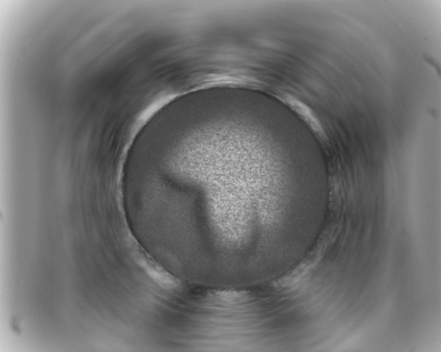 X0000096211427200801251024