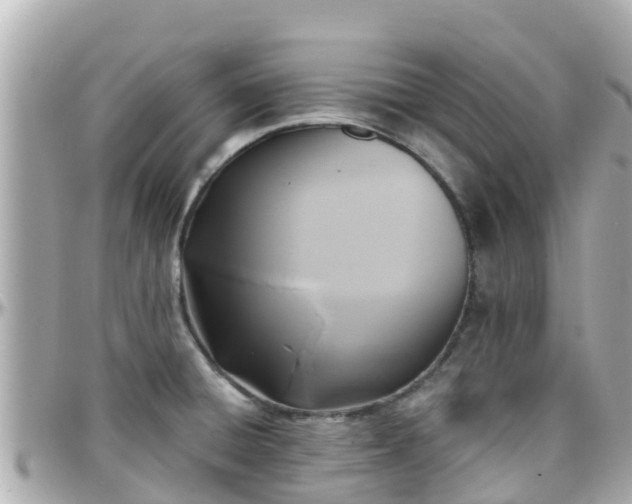 X0000096211428200801251024