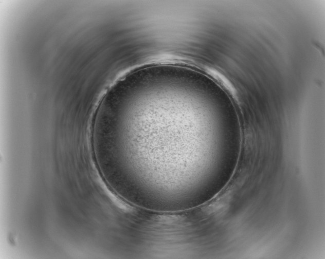 X0000096211429200801251024