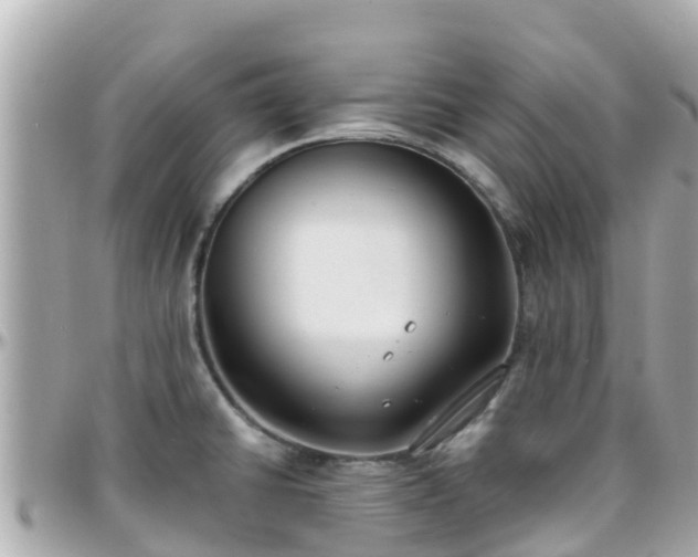 X0000096211430200801251024