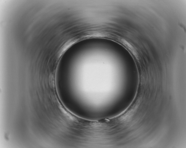 X0000096211433200801251024